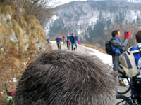 un celebre Brizzolato dalla svizzera